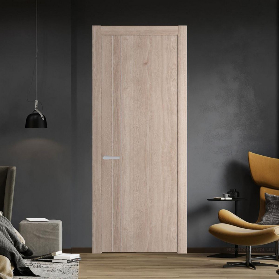 Межкомнатная дверь ProfilDoors 12 NW Дуб Сонома молдинг Серебро Глухая