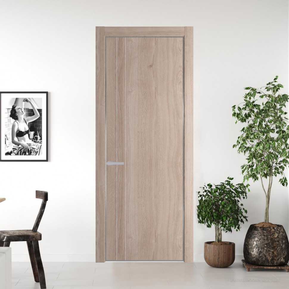 Межкомнатная дверь ProfilDoors 12NA Дуб Сонома профиль Серебро вставка Глухая