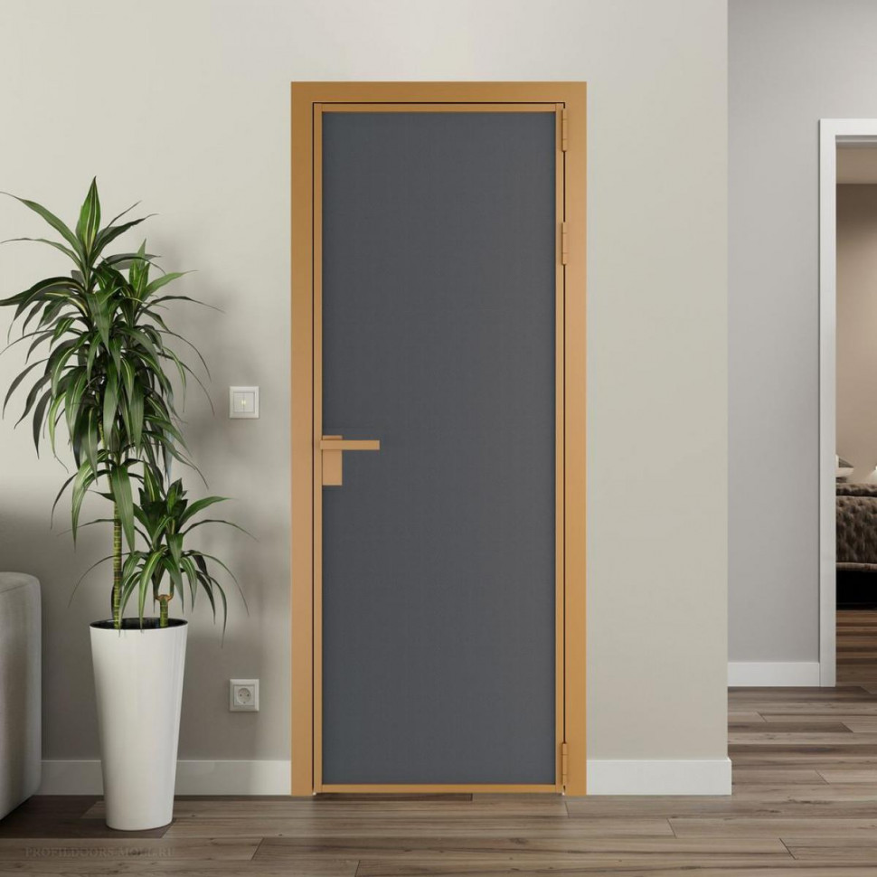 Межкомнатная дверь ProfilDoors 1 AP цвет Графит элегант профиль Золото
